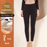 SELLEX™-Warm Cashmere Leggings Winter Solid Slim Pants Fashion Trousers For Women Clothing.