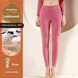 SELLEX™-Warm Cashmere Leggings Winter Solid Slim Pants Fashion Trousers For Women Clothing.