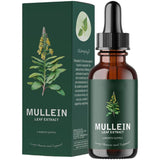 Mullein & Chlorophyll Extract.